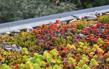 the cost of Camptoun green roof installation