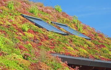 Camptoun living roof systems