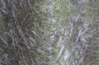 Camptoun fibreglass roof work