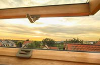 rated Camptoun roof window companies